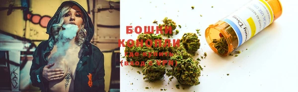 СК Алзамай