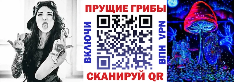 где купить   KRAKEN маркетплейс  Псилоцибиновые грибы Psilocybine cubensis  Павловский Посад 